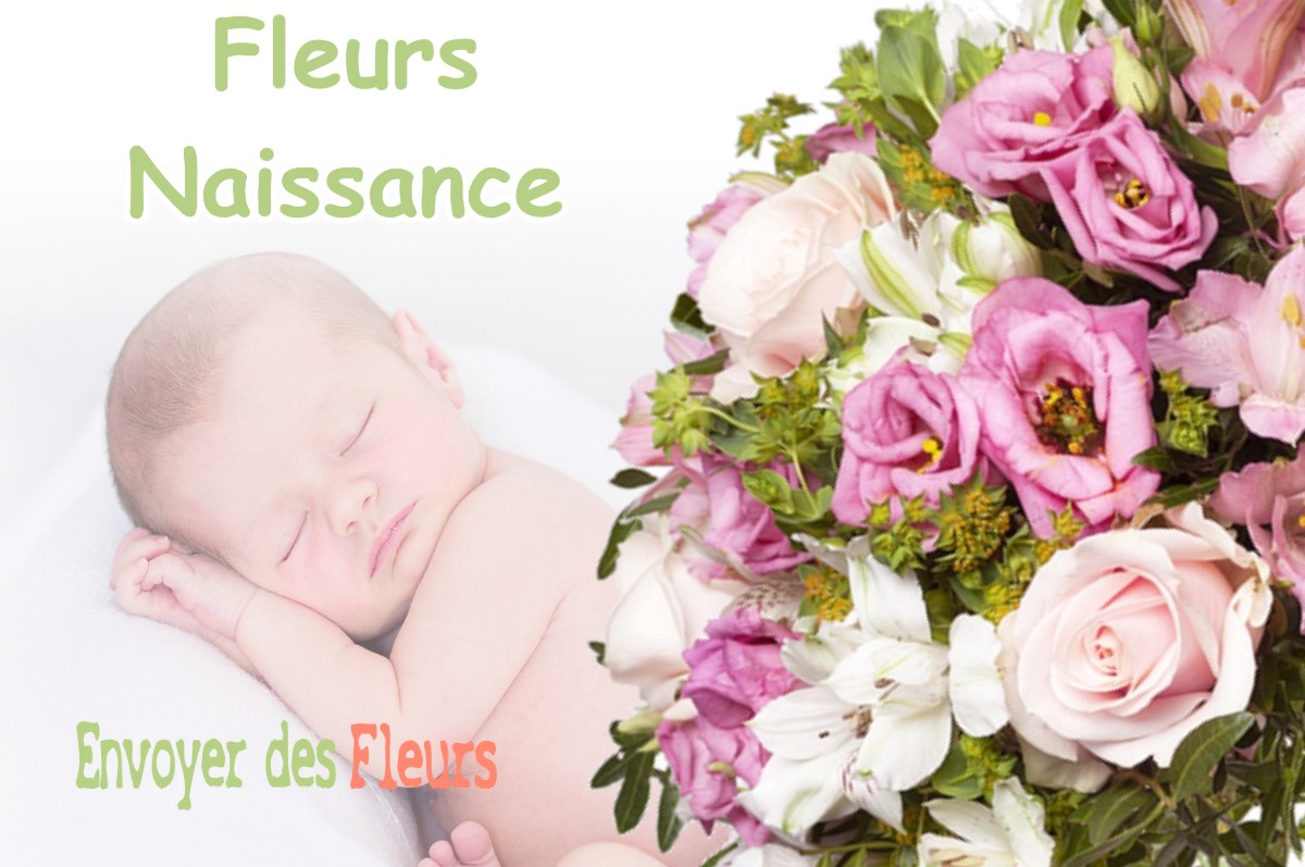 lIVRAISON FLEURS NAISSANCE à BISCARROSSE